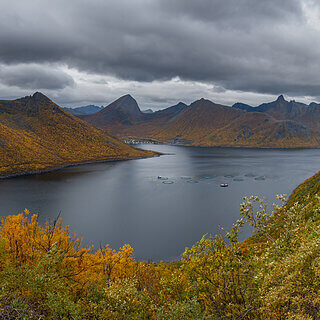 Senja - Oyfjorden